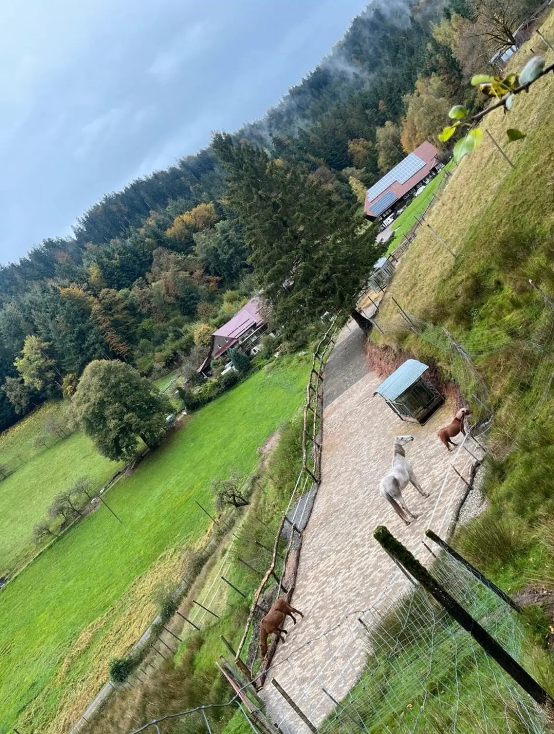 Hermeshof - Bauernhof