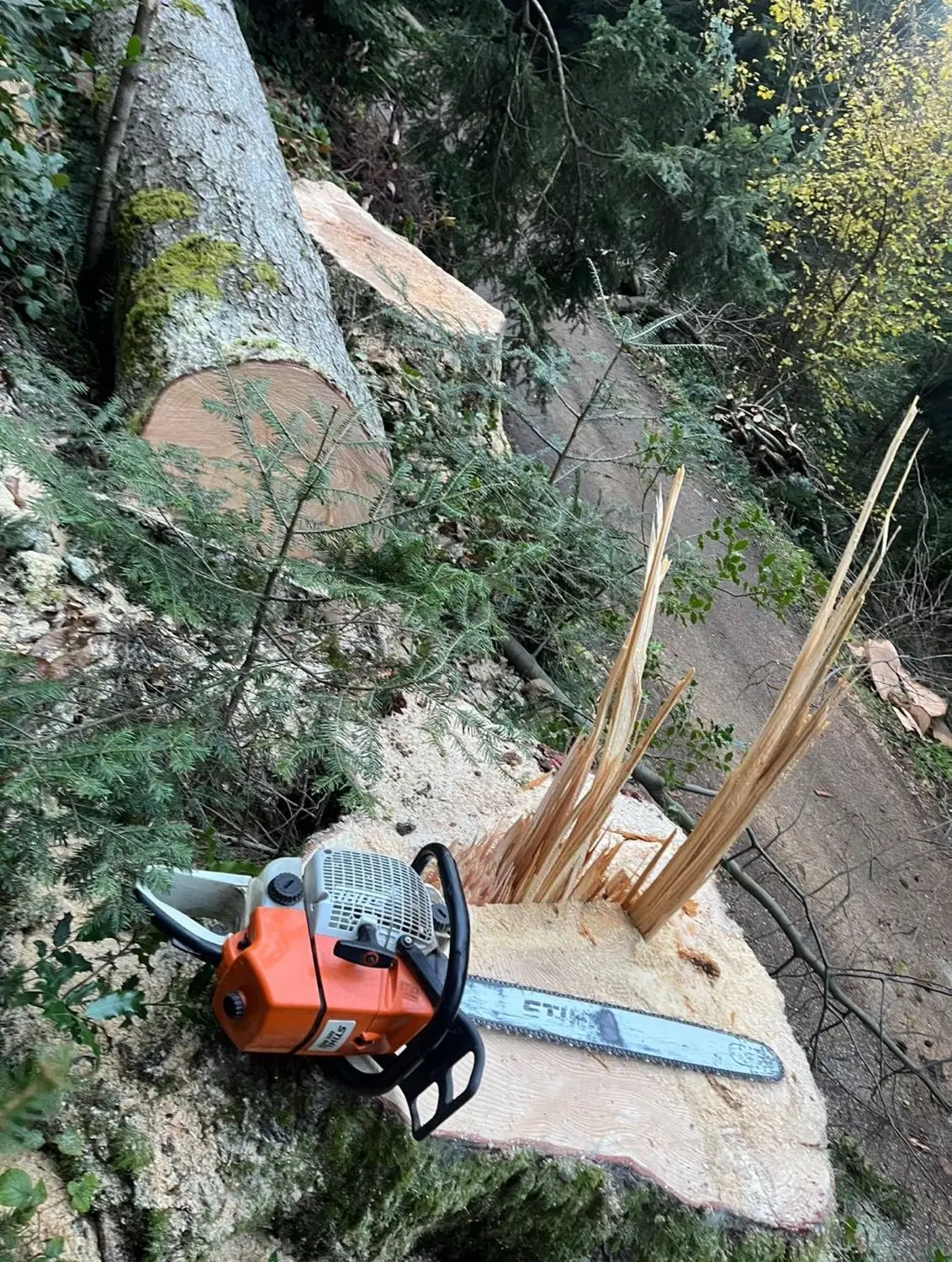 Hermeshof - Maschinen zum Schneiden von Brennholz