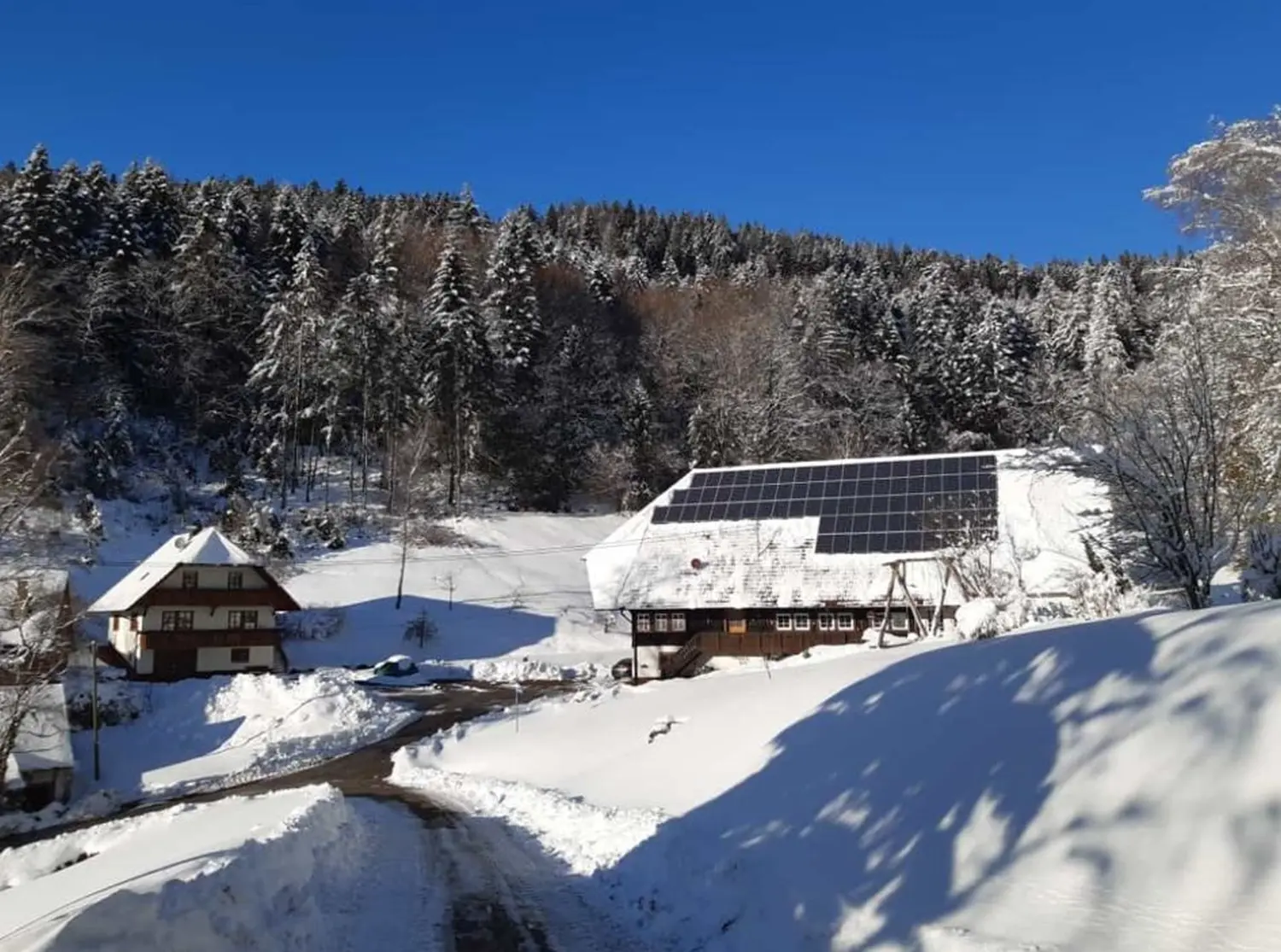 Hermeshof - Bauernhof