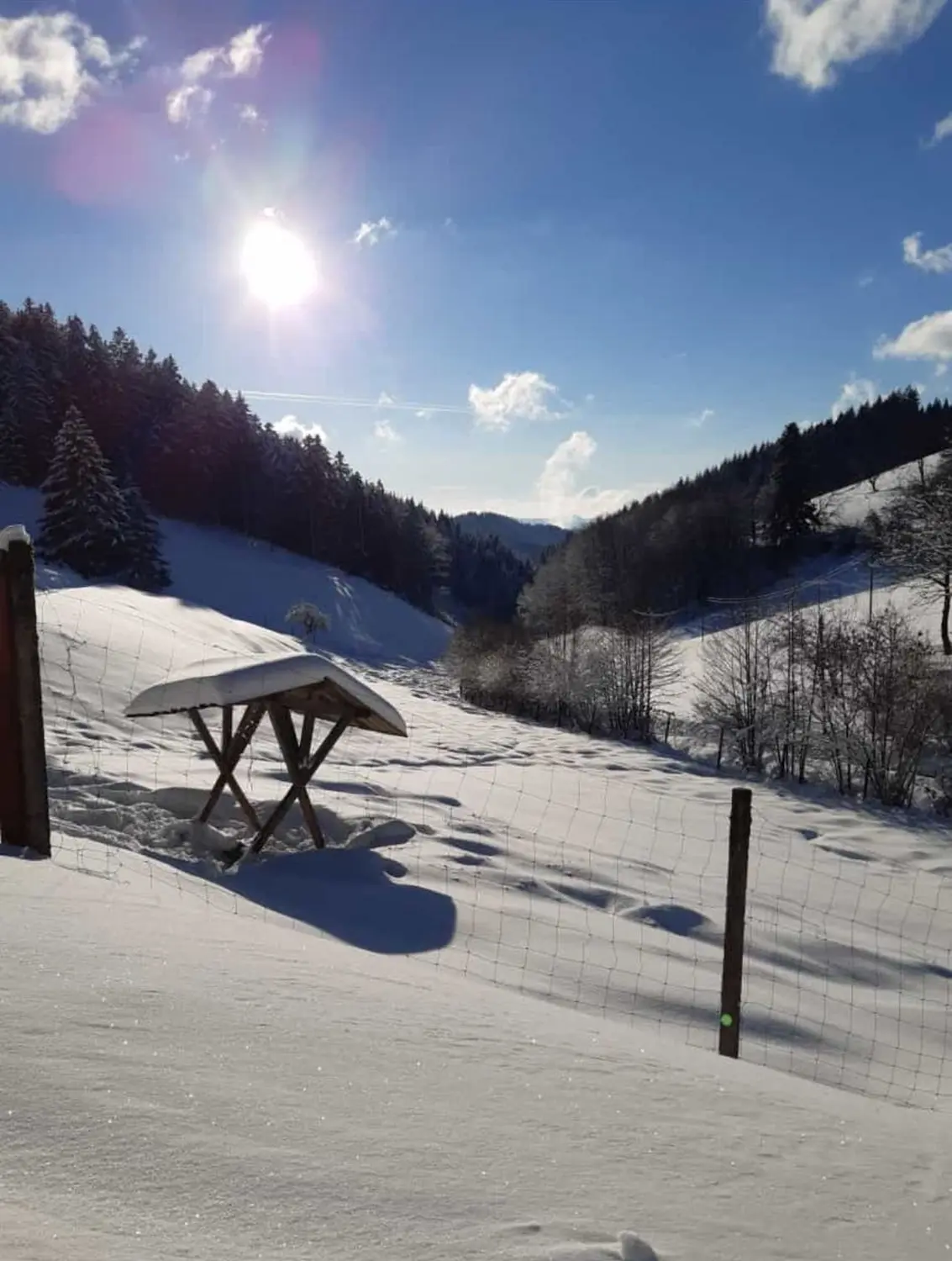 Hermeshof - Ferienheim Schnee