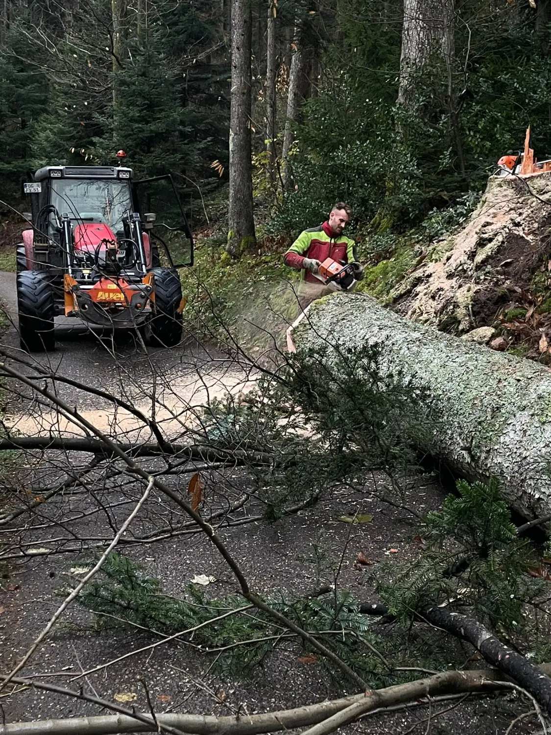 Hermeshof - Brennholz 